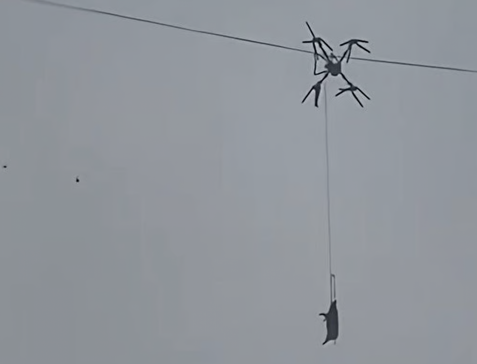 Sichuan, blackout per un maiale su drone
