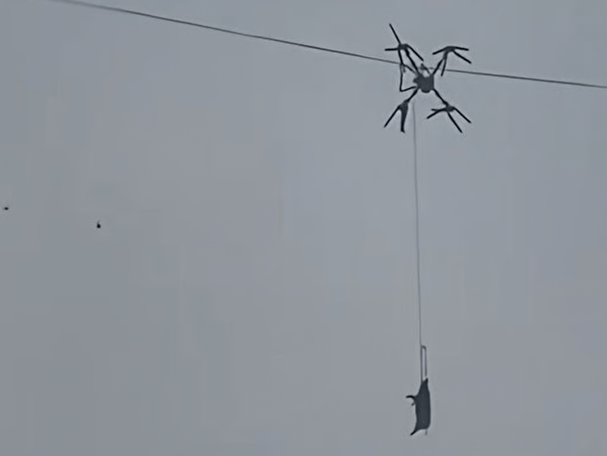 Sichuan, blackout per un maiale su&nbsp;drone