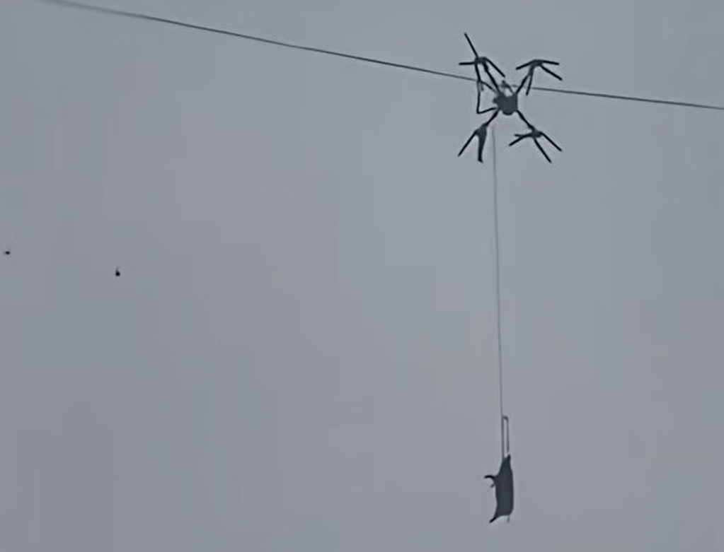 Sichuan, blackout per un maiale su drone
